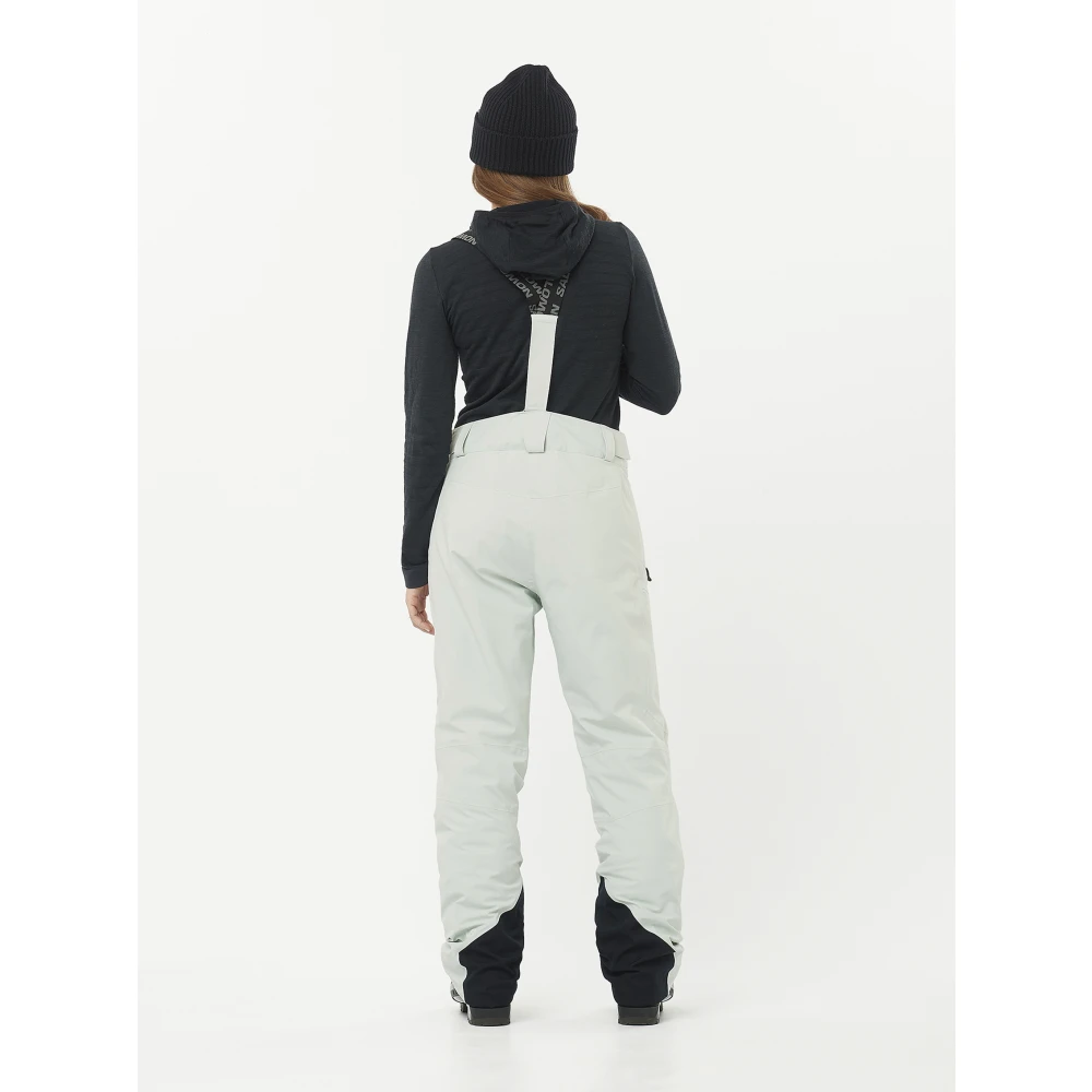 Salomon Brilliant Pant Blue Dames
