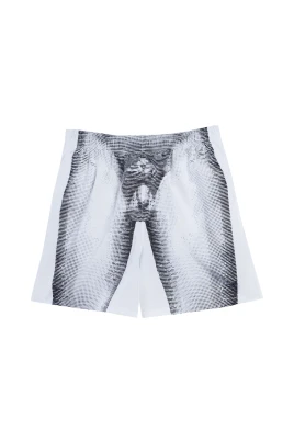 Statua Boxer