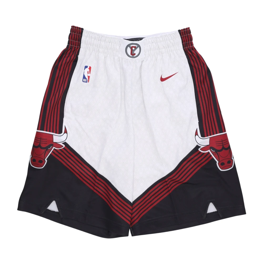 Nike NBA City Edition Swingman Shorts Multicolor Heren