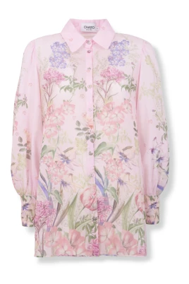 Aster Blus