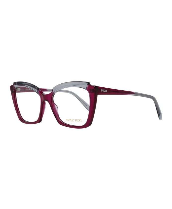 paarse-dames-optische-frames-met-merkhoes