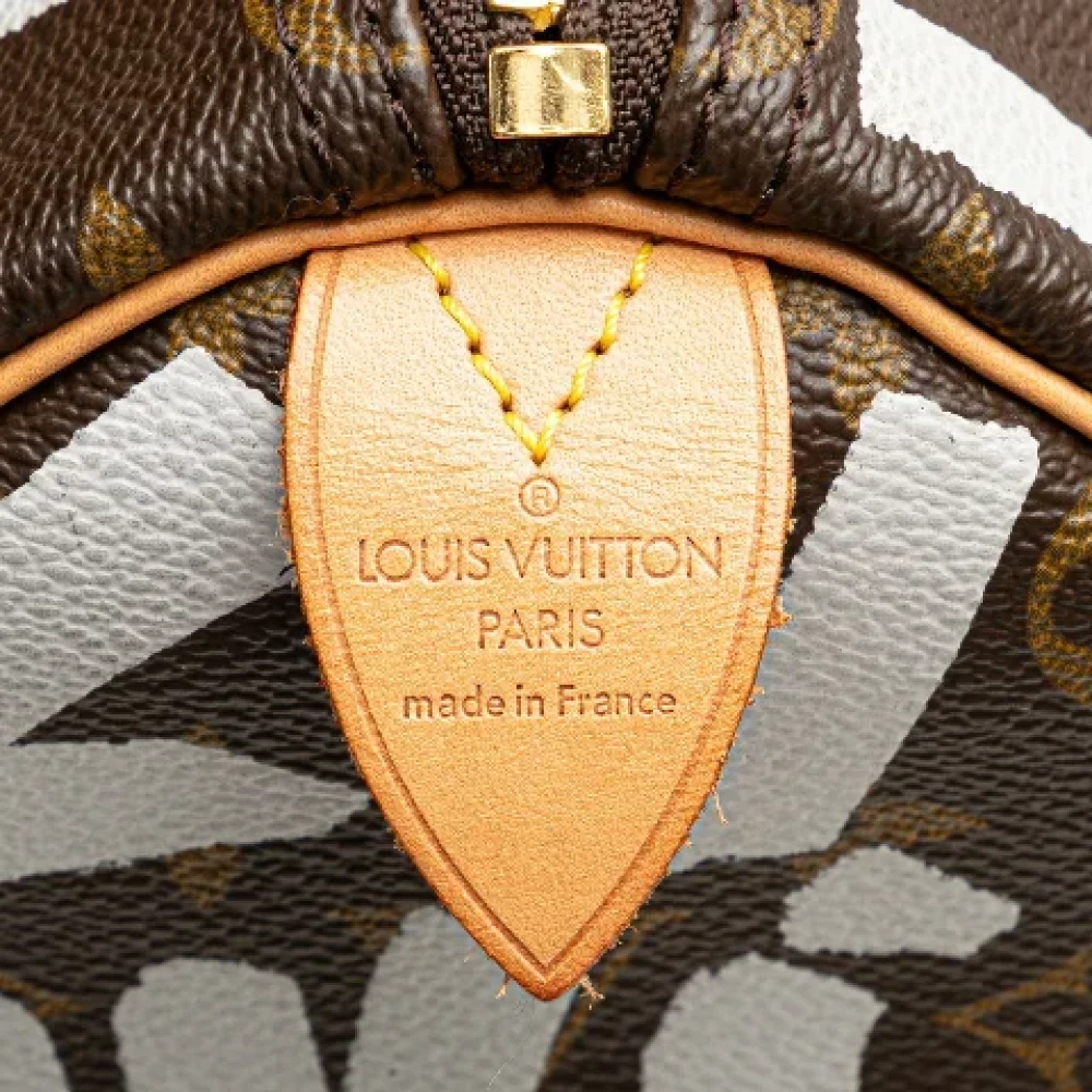 Louis Vuitton Vintage Pre-owned Canvas handbags Brown Dames
