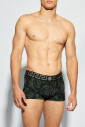 boxers-a-motifs