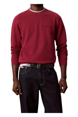 Fleece SPW Graphic CN Swts
