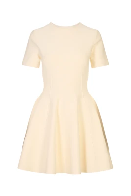 Fit and Flare Mini Dress