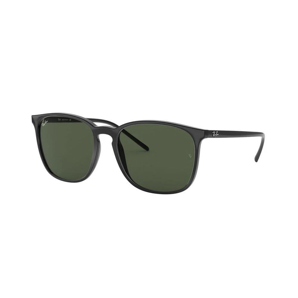 Ray-Ban Unisex Black Rb4387 Sunglasses