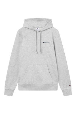 Small Embroidered Logo Hoodie