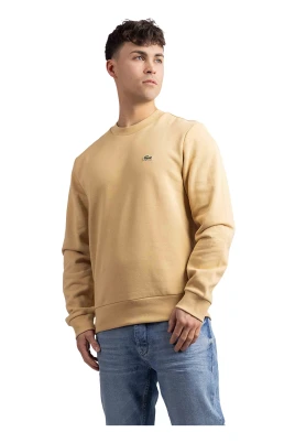 Grundläggande Beige Tröja Herr