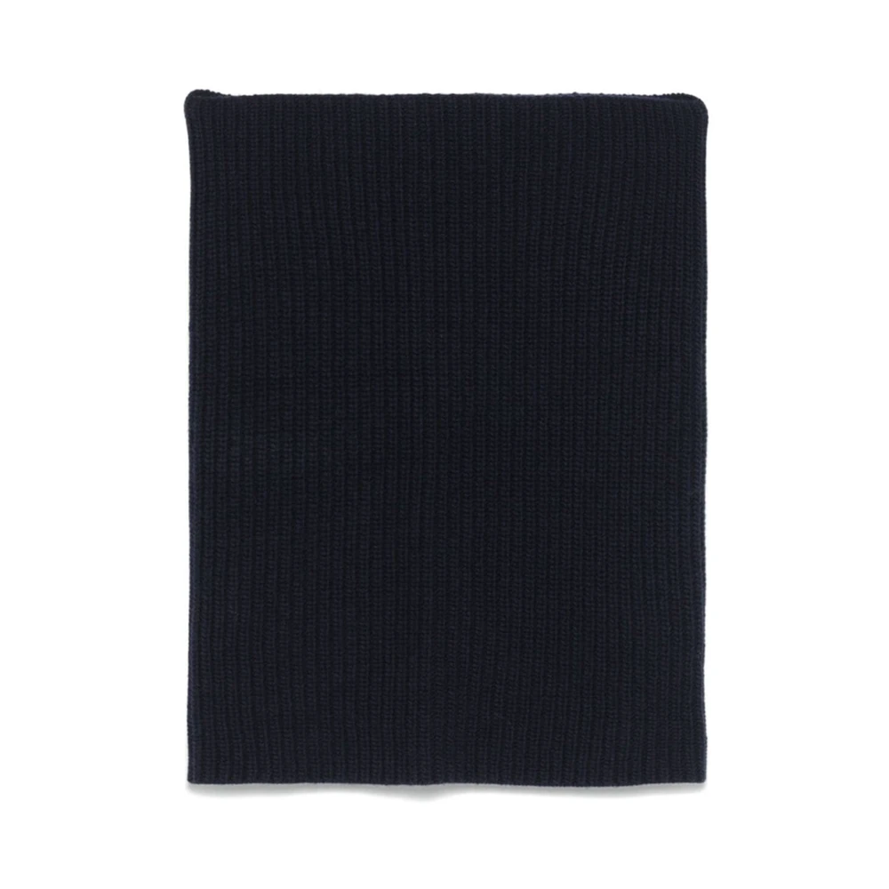 Accessories > Scarves > Winter Scarves - - Alysi - Modalova