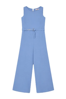 Elegant Palazzo Jumpsuit