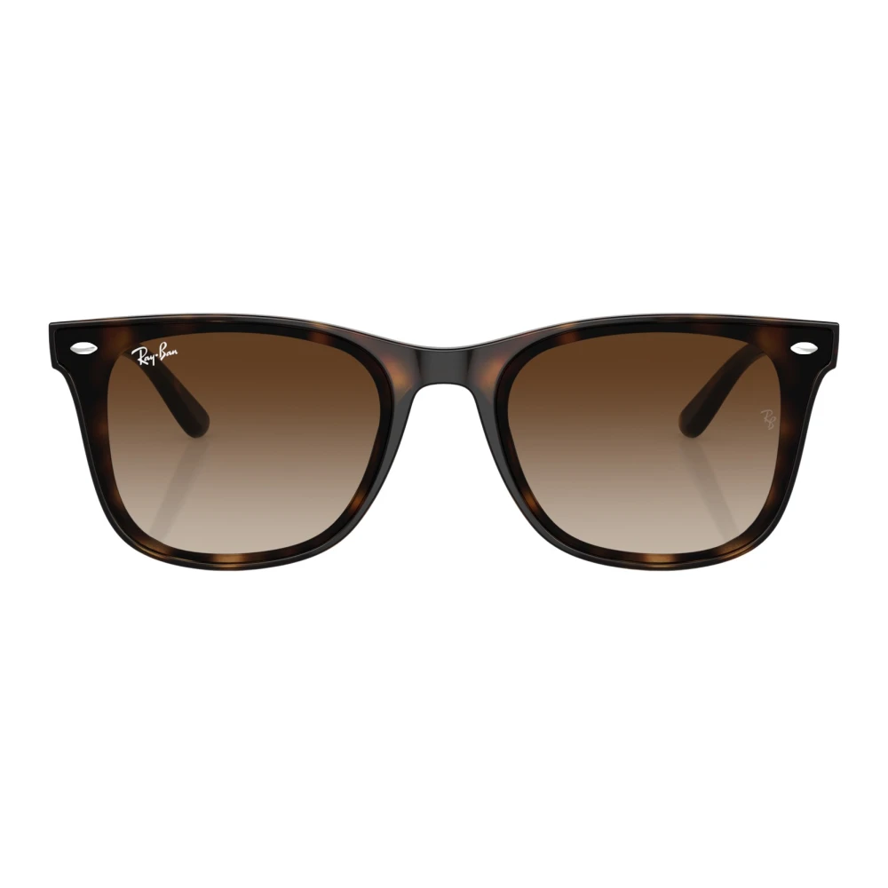 Ray-Ban Women's Brown Injected Sunglasses