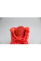 sneaker-vault-exclusivite-red-october