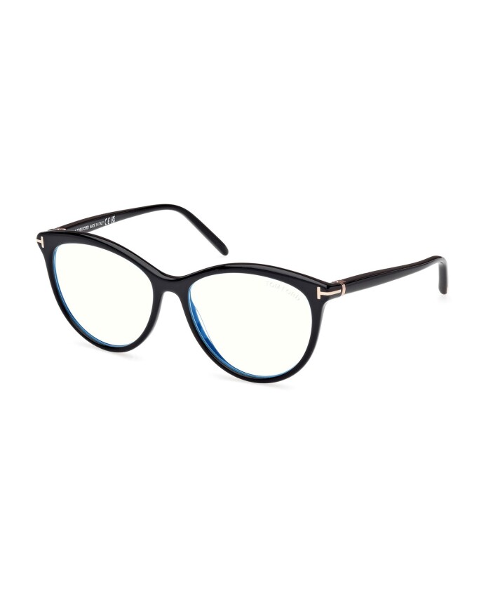 ft5990b-001-optical-frame