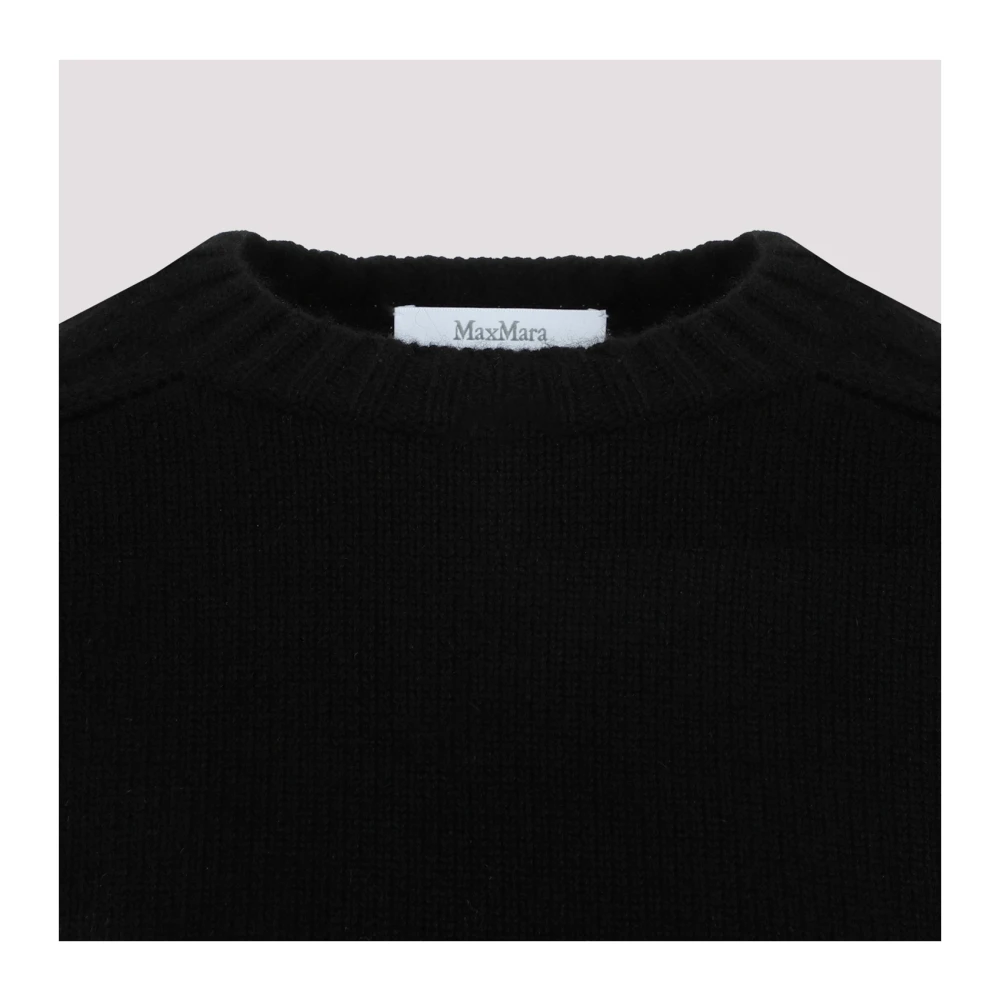 Max Mara Berlina Pullover in Zwart Blue Dames
