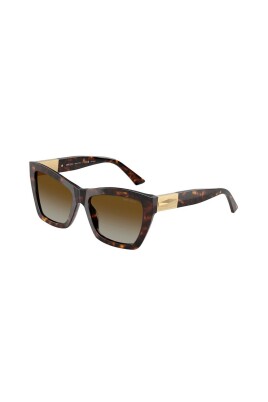 lunettes-authentiques-et-elegantes-de-qualite-premium