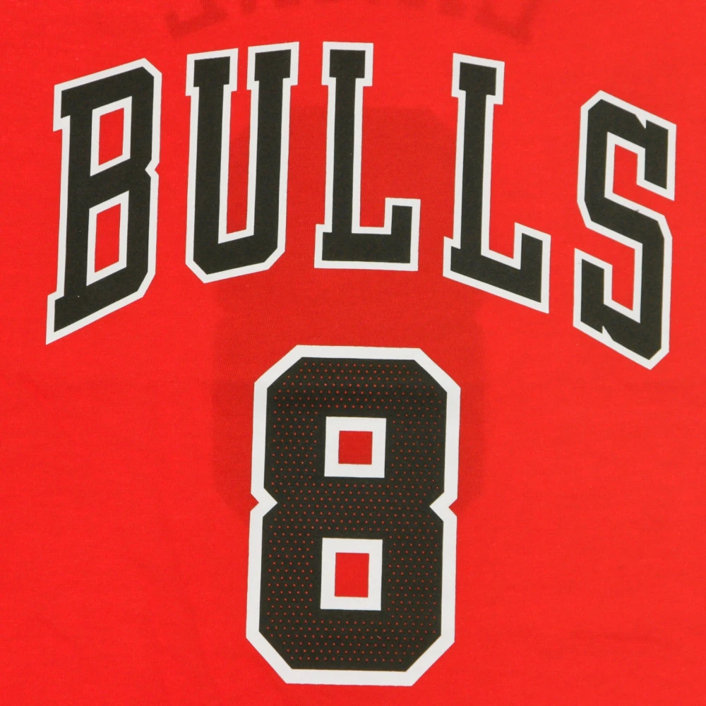 Nike Chicago Bulls Icon Tee Zach Lavine Red Heren