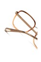 ch0034o-014-optical-frame