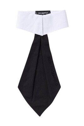 kids-multicolor-tie