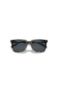 sunglasses-ar-8202u