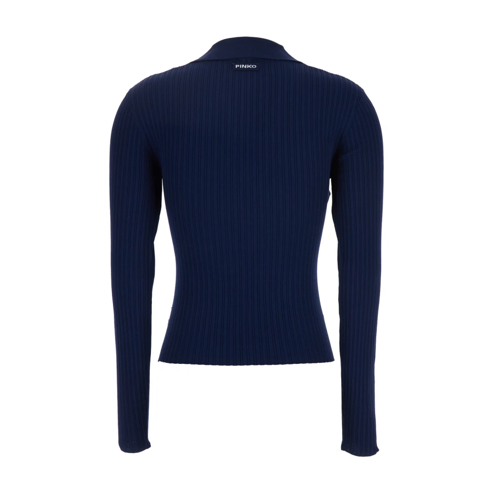 pinko Blauwe V-hals Sweater in Viscosemix Blue Dames