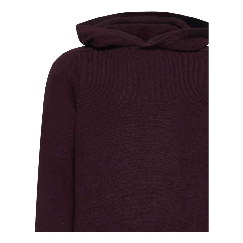 D4.0 Bordeaux Sweater Collectie Red Heren