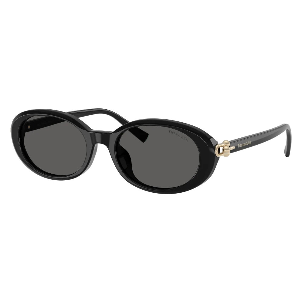 Tiffany & Co. Unisex Black 0Tf4242d - Sunglasses - 54 Mm - Accessories