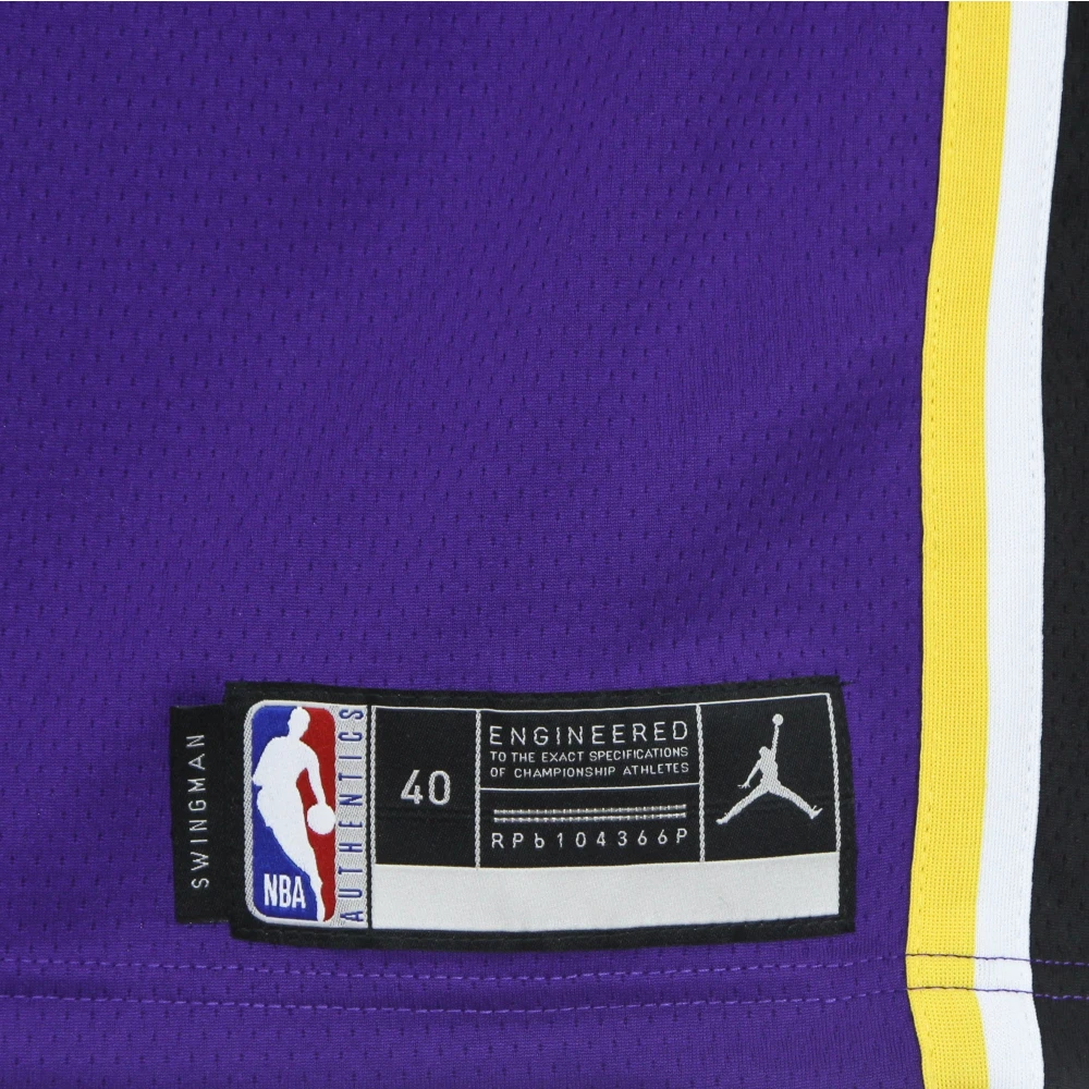 Jordan LeBron James Basketball Tank Top Purple Heren