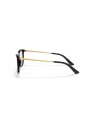 dg3347-501-optical-frame