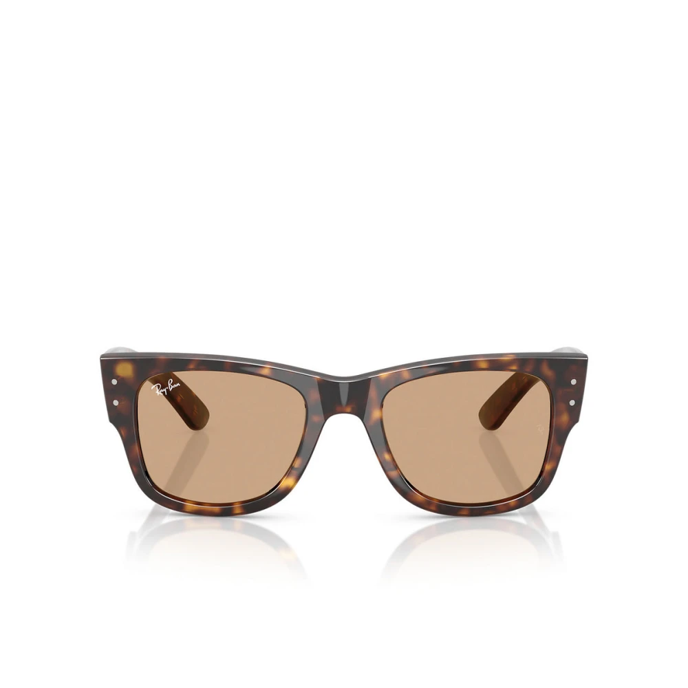 Ray-Ban Unisex Brown Sunglasses, 51 Mm, Stylish Sunglasses Mod. 0840S