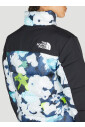 veste-isolee-imprimee-graphique