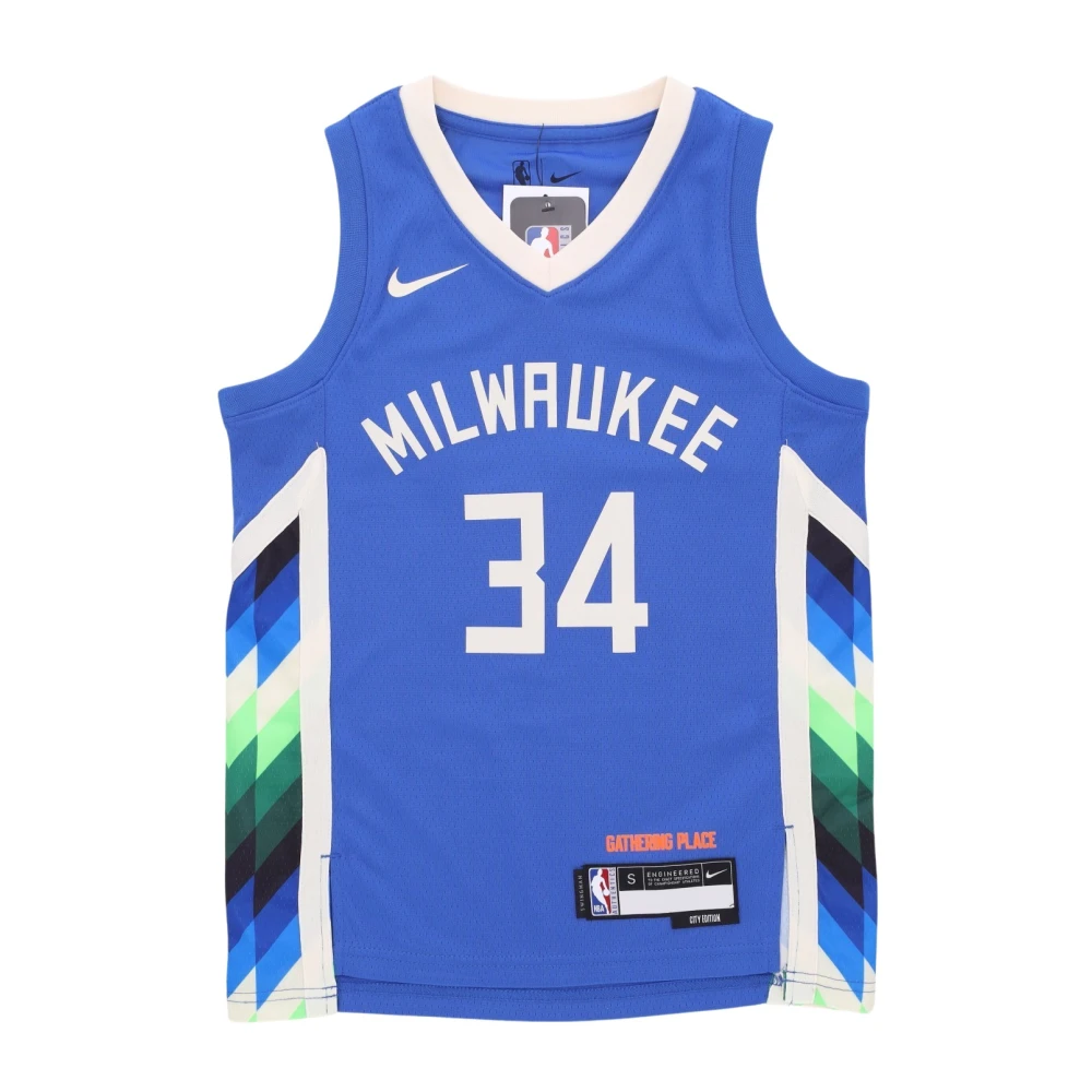 Nike Giannis Antetokounmpo NBA City Edition Jersey Blue Heren