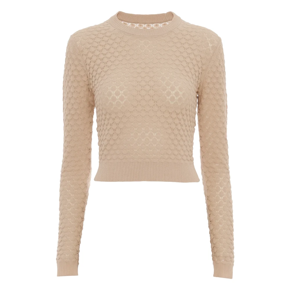 Chloé Roze Crewneck Sweater Geribbelde Zoom Pink Dames