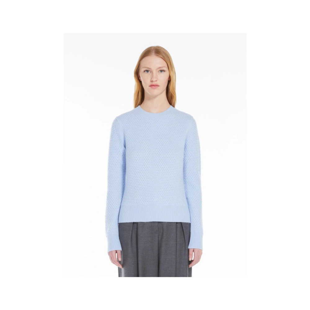 Max Mara Stijlvolle Gebreide Trui Blue Dames