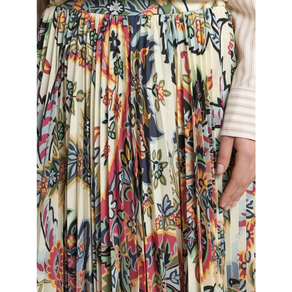 ETRO Paisley Print Geplooide Rok Multicolor Dames