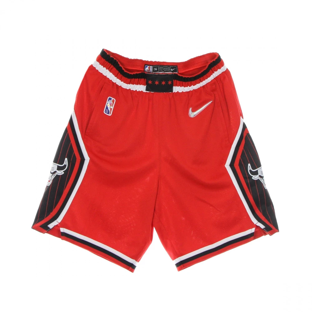 Nike NBA Swingman Shorts Multicolor Heren