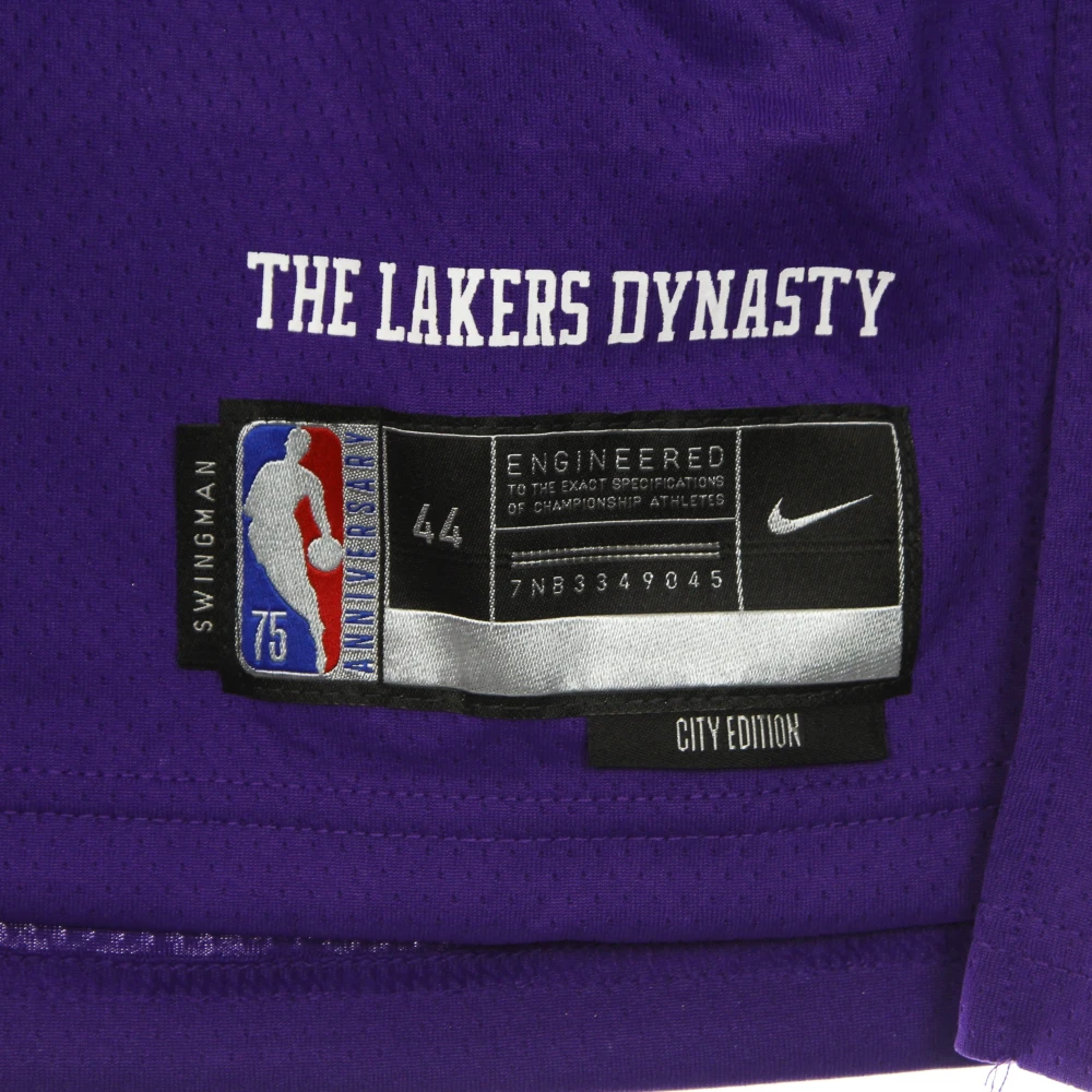 Nike Basketball Tank Top City Edition Anthony Davis Purple Heren