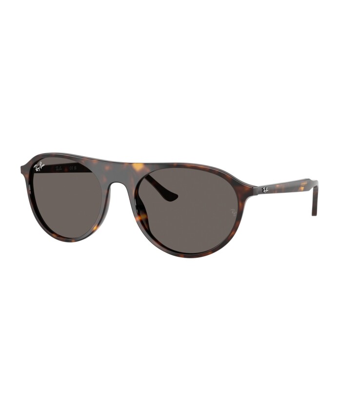 rb2215-902b1-sunglasses
