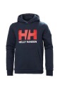 sweat-a-capuche-logo-2-0-coton-polyester