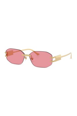 ve2274-sunglasses