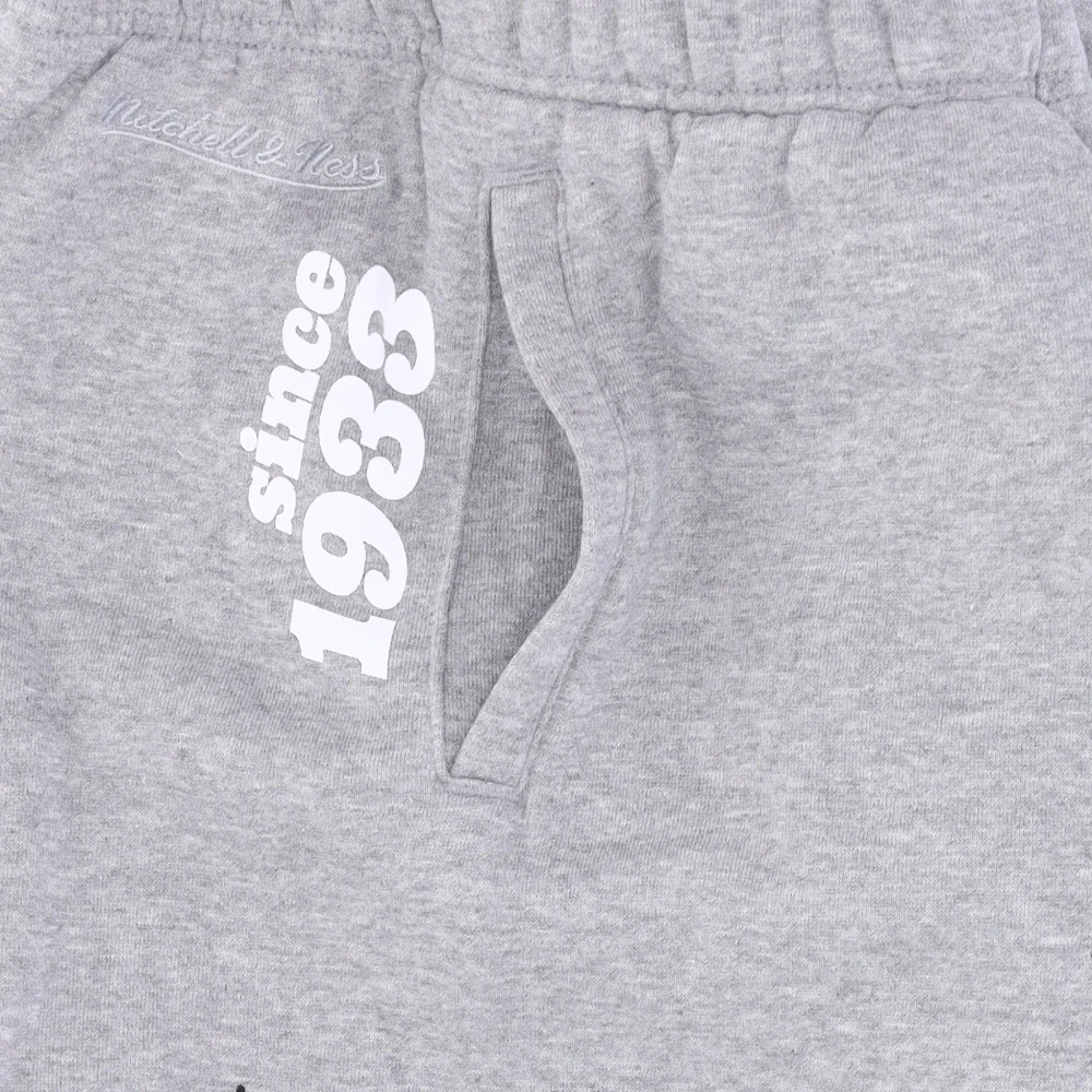 Mitchell & Ness NFL Team Origins Fleece Broek Gray Heren