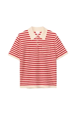POLO 100% COTONE