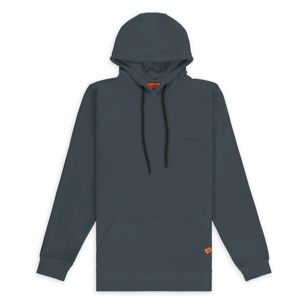 Aspact Raf Hoodie Dark Slate MiintoTitle Raf Hoodie Gray Heren