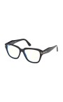 ft5988b-001-optical-frame