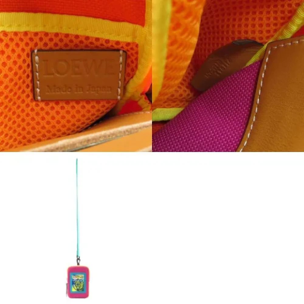 Loewe Pre-owned Fabric pouches Multicolor Dames