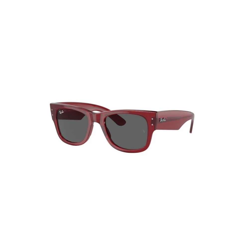 Accessories > Sunglasses - - Ray-Ban - Modalova