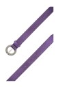 paarse-riem