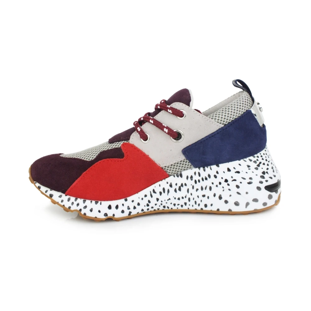 Steve Madden Cliff Sneaker Dames Schoenen Veelkleurig Multicolor
