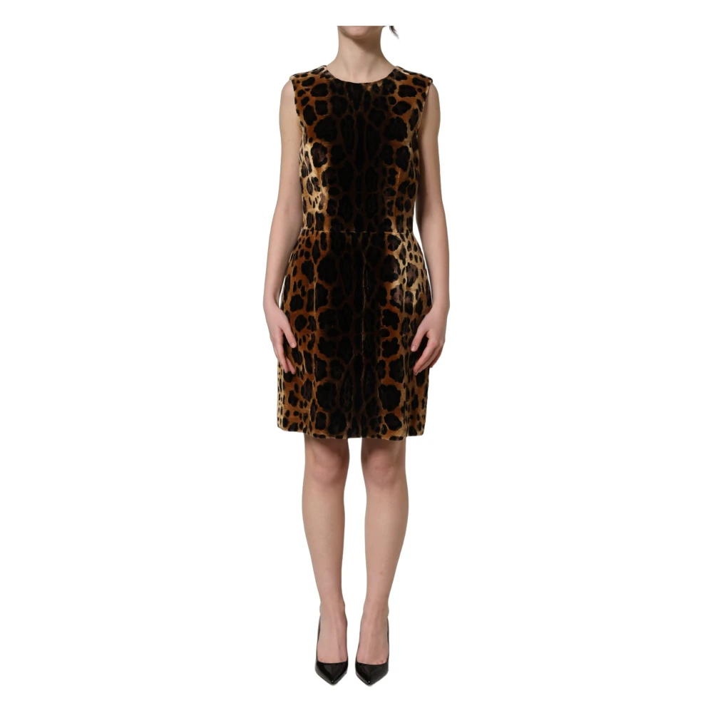 Dolce & Gabbana Damen Braun Kleider, Xsgröße: