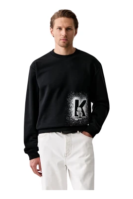 B3M20001 Sweatshirt