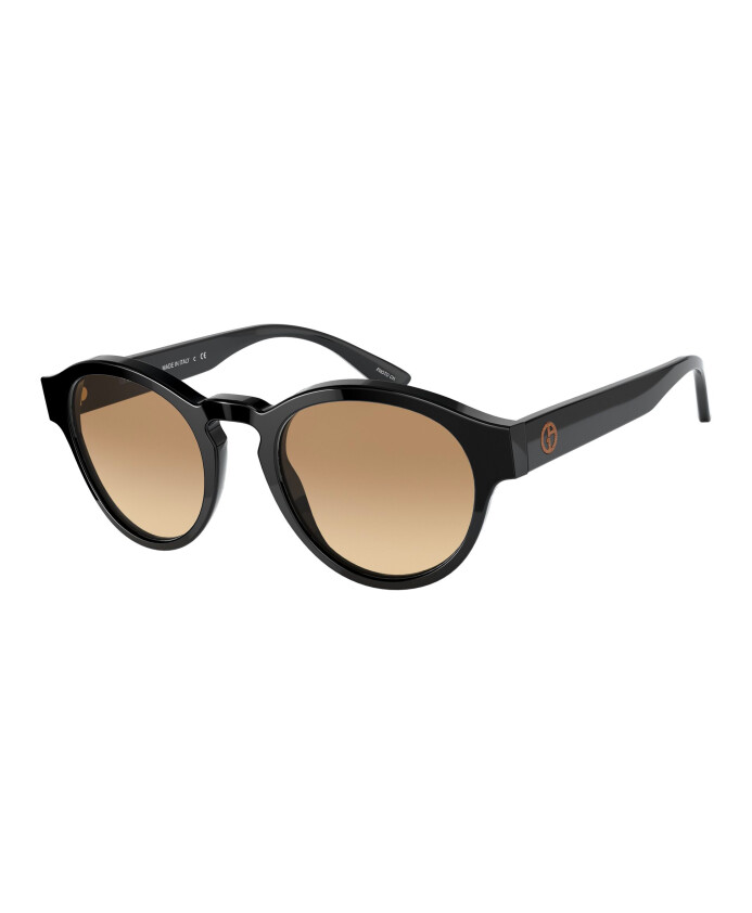zwart-bruin-getinte-zonnebril-ar-8146